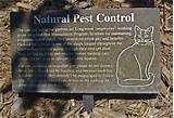 Best Pest Control Tulsa