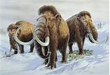 Images of Ice Age Animals Facts