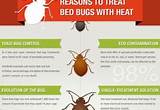 Images of How Much Does Thermal Heat Treatment For Bed Bugs Cost