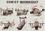 Best Back Workout Exercises