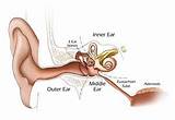Ear Fluid Balance Exercises Images