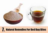 Pictures of Natural Home Remedies To Get Rid Of Bed Bugs