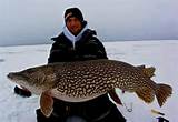 Ice Fishing For Pike Images