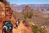 Hike Down The Grand Canyon