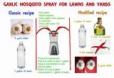 Diy Mosquito Control For Yard Images