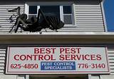 Lindsey Pest Services