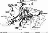 Toyota 22r Vacuum Hose Diagram Pictures