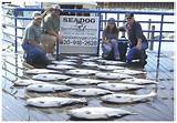 Pictures of Sea Dog Fishing Charters
