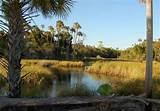 Crystal River Preserve State Park Pictures