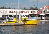 Pictures of Sea Tow Tampa