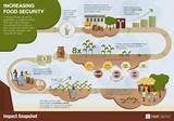 Images of Food Security Policy Kenya