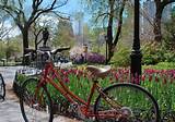 Central Park New York Bike Rental