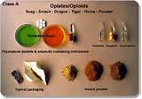 Photos of Effects Of Opiate Detox
