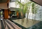 Modern Indoor Landscaping Design Pictures