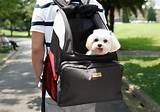 Hiking Dog Backpack Carrier Pictures