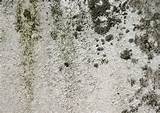 Wet Carpet Mold Symptoms Images