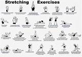 Images of Exercise Routines With Weights