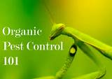 What Is Organic Pest Control Photos