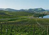 Wine Country Trip Packages