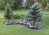 Backyard Landscaping Berms Images