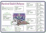 Free Dog Pedigree Software Pictures