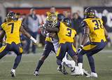 Images of Cal Bears Football Ranking