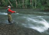 Free Fly Fishing Images Images