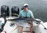 Tuna Fishing Out Of Venice Louisiana Pictures