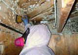 Under House Mold Removal Images