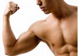 Muscle Exercises Biceps Pictures