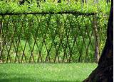 Living Wall Fence Panels Images