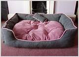 Cheap Dog Beds For Large Dogs Pictures