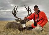 Wyoming Mule Deer Hunting Outfitters