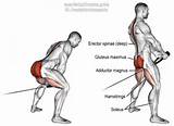 Muscle Pull Exercises Pictures