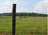Gaucho High Tensile Field Fence