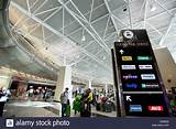 Photos of Dollar Rental Miami Airport Location