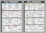Images of Workout Exercises Bodybuilding