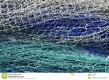 Free Pictures Of Fishing Nets