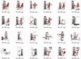 Workout Routine Universal Gym Pictures