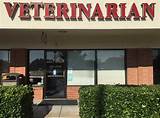 Pictures of St Louis Animal Emergency Clinic