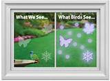 Window Stickers To Protect Birds Images