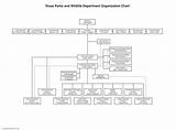 Pictures of Parks And Recreation Organizational Chart