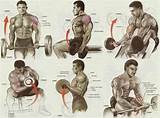 Photos of Bicep Muscle Exercises