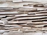 Termite Wood Damage Images