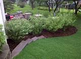 Pictures of Lawn And Landscaping Ideas