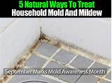 Photos of Treating Mold In Home