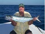 Fishing Sarasota Pictures