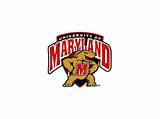 Maryland University Mascot Pictures