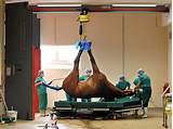 Pictures of World Of Animals Veterinary Hospital