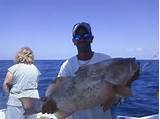 Fishing Charters Placida Florida Photos